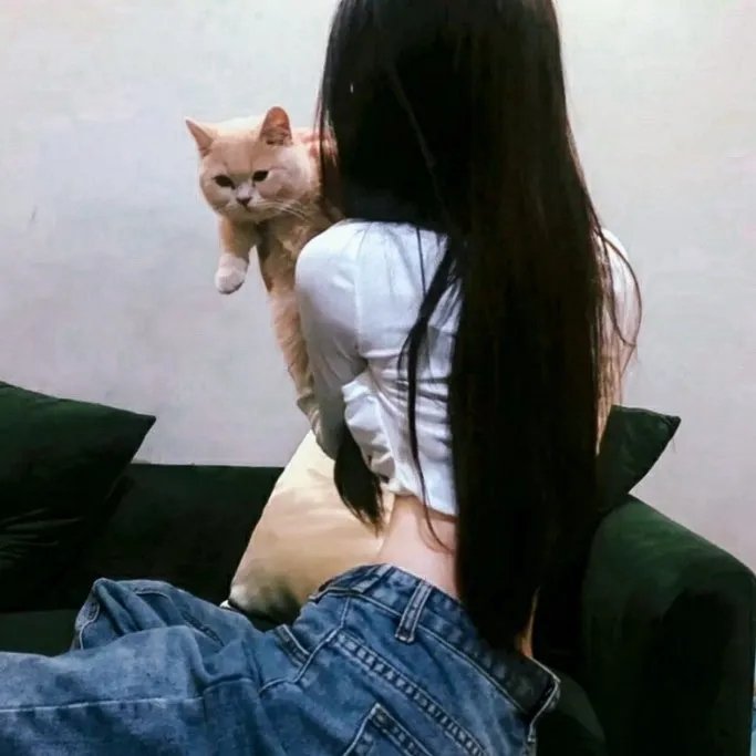 我的老板为何那样